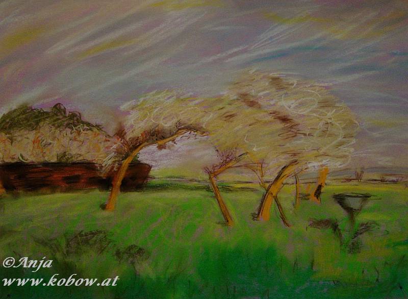 Schliessen von DSC00576a.jpg