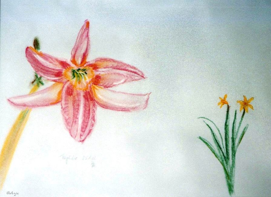 Schliessen von img019n.jpg