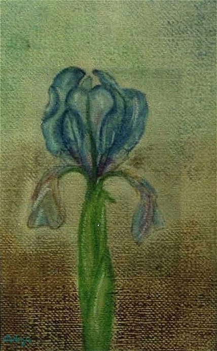 Schliessen von img051.jpg