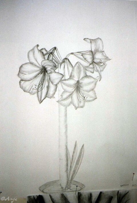 Schliessen von img115.jpg