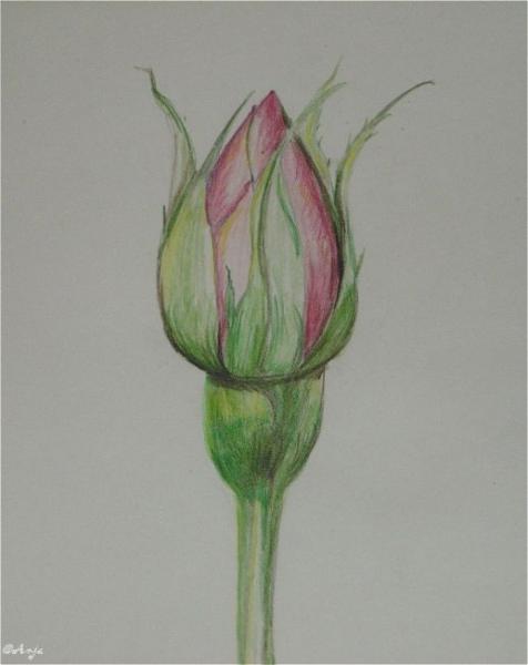 Klick für Originalgröße :DSC00009n.jpg