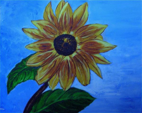 Klick für Originalgröße :DSC00574n.jpg