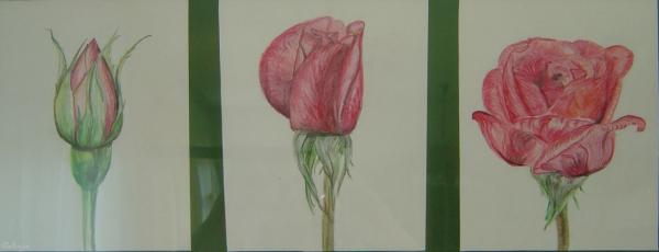 Klick für Originalgröße :DSC00586.jpg