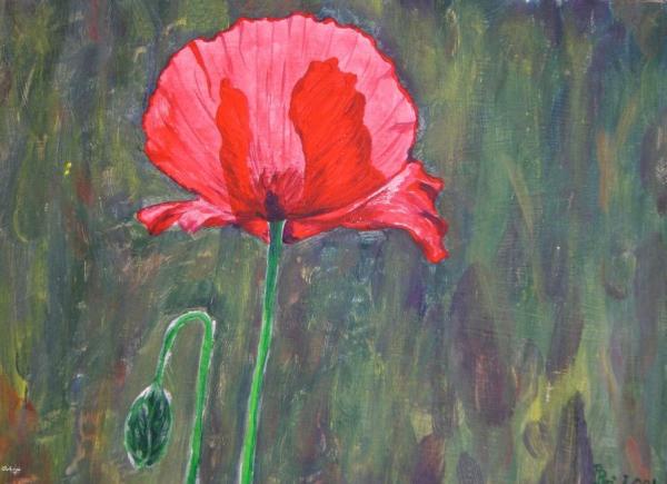 Klick für Originalgröße :DSC00769n.jpg