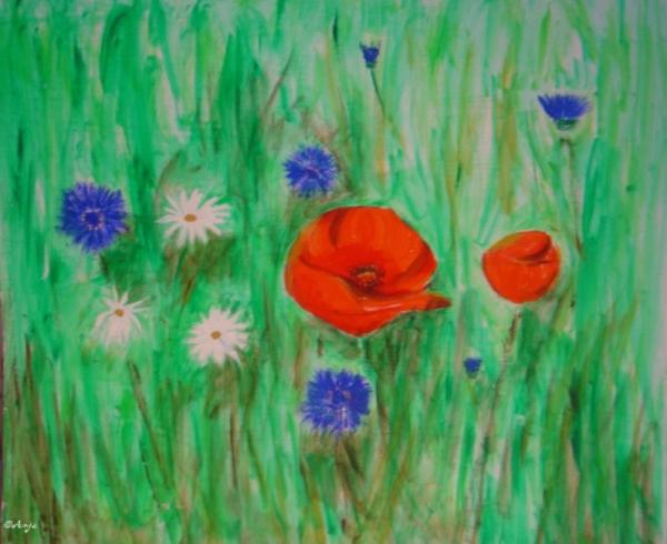 Klick für Originalgröße :DSC01531n.jpg