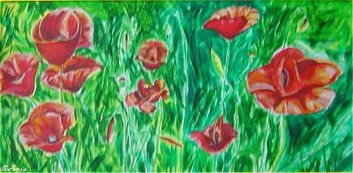 Klick für Originalgröße :DSC02442.jpg