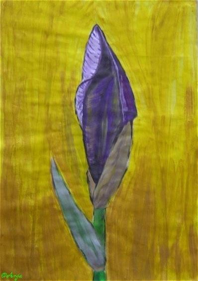 Klick für Originalgröße :DSC02452.jpg