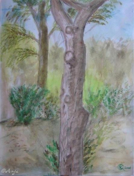 Klick für Originalgröße :DSC02474.jpg