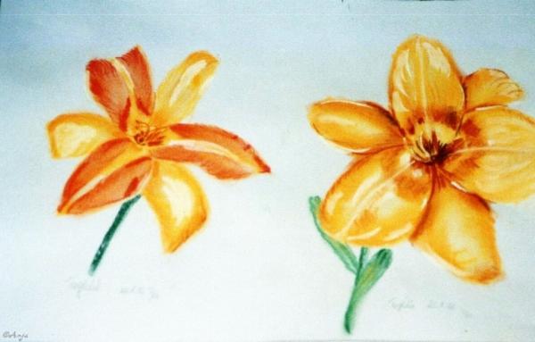 Klick für Originalgröße :img018.jpg