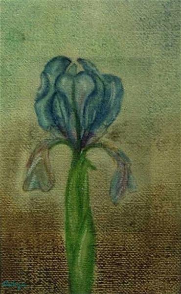 Klick für Originalgröße :img051.jpg