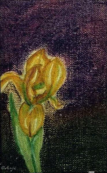 Klick für Originalgröße :img052.jpg