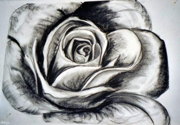 Klick für Originalgröße :img093n.jpg