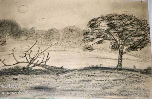 Klick für Originalgröße :img081a.jpg