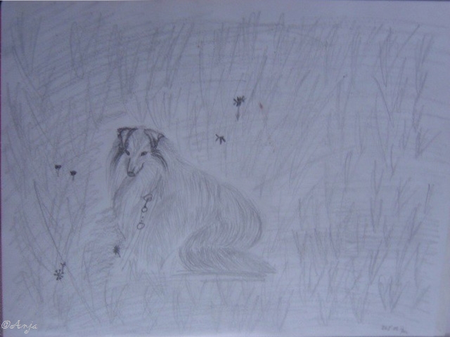 Schliessen von DSC02493c.jpg