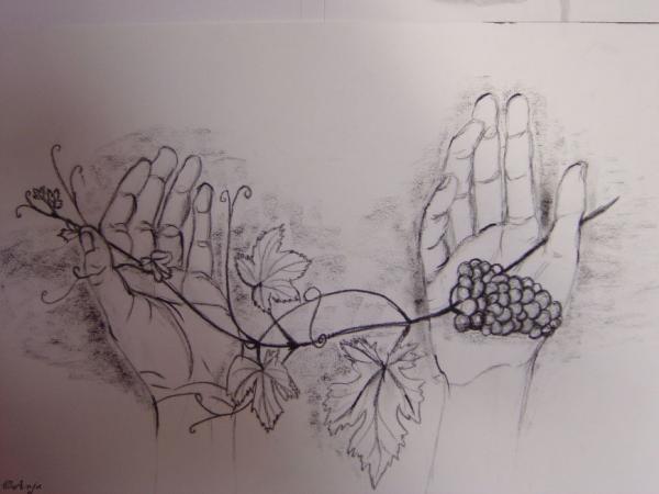 Klick für Originalgröße :DSC00575.jpg