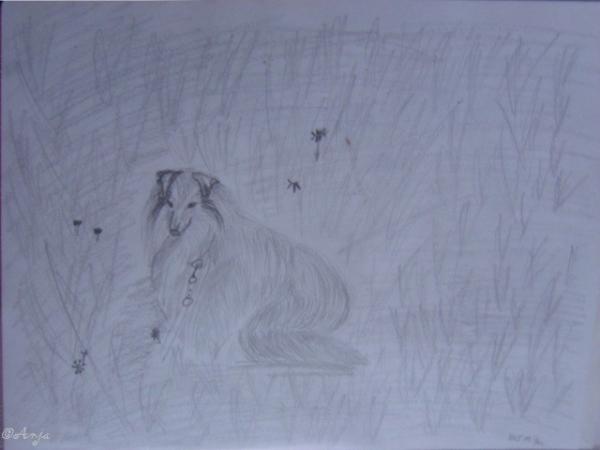 Klick für Originalgröße :DSC02493c.jpg