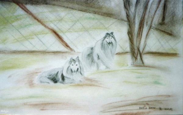 Klick für Originalgröße :img023.jpg