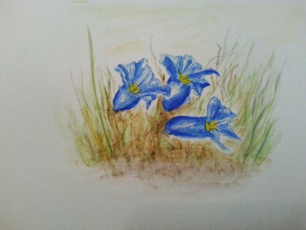 Klick für Originalgröße :002_2018-03-1017.00.25_b.jpg