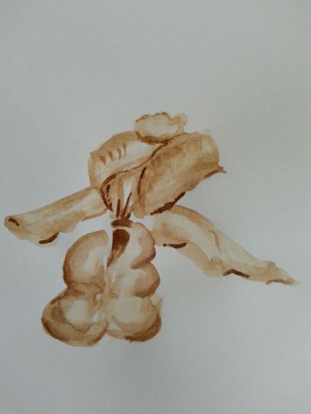 Klick für Originalgröße :014_2018-03-0812.14.14_b.jpg