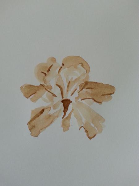 Klick für Originalgröße :015_2018-03-0812.14.26_b.jpg